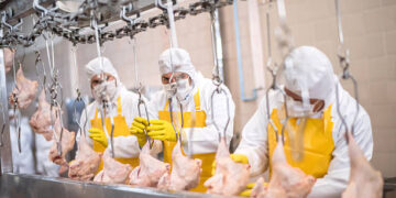 Bakanlık duyurdu! Kanatlı et ihracatına kısıtlama