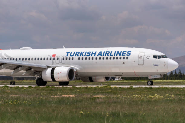 Turk Hava Yollari yeni bir sirket daha kuruyor habermeydan
