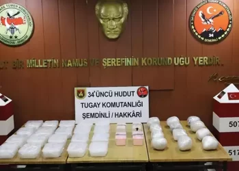 Türkiye’ye yasa dışı yollarla girmeye çalışan 2 kişi yakalandı