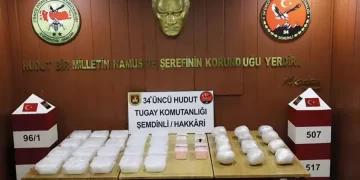 Türkiye’ye yasa dışı yollarla girmeye çalışan 2 kişi yakalandı