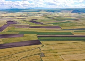 Kentsel Dönüşüm Başkanlığı’ndan 214 arsa satışa sunuluyor