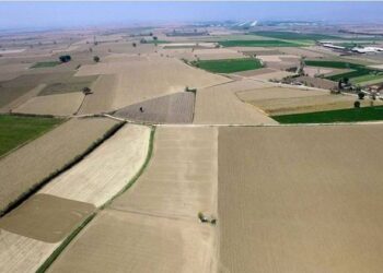 47 ilde 826 arsa açık artırmayla satışa sunuluyor