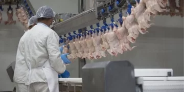 Ticaret Bakanlığı duyurdu: Beyaz ete ihracat yasağı geliyor