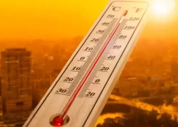 İklim Krizi korkutuyor: Filipinler'de aşırı sıcaklarda altı hayatını kaybetti! İklim Krizi korkutuyor: Filipinler’de aşırı sıcaklarda altı hayatını kaybetti!