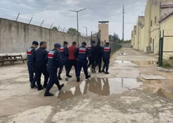 Kırklareli’nde düzensiz göçmen operasyonu