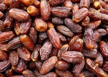 Filistin hurmasına gümrük muafiyeti!