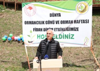 Muş'ta 270 çam fidanı toprakla buluşturuldu! Muş’ta 270 çam fidanı toprakla buluşturuldu!