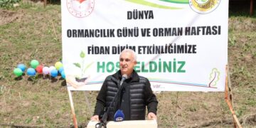 Muş’ta 270 çam fidanı toprakla buluşturuldu!