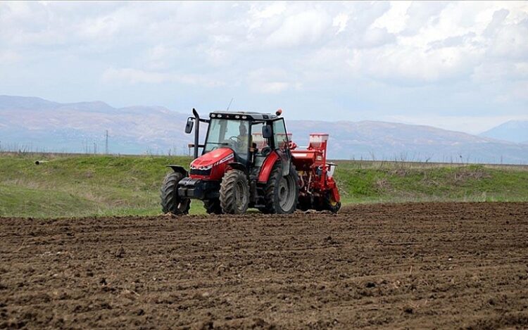 mus ta bu yil 635 bin ton seker pancari uretimi hedefleniyor habermeydan