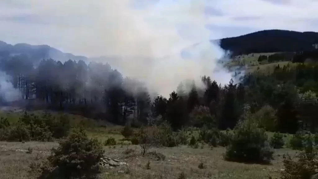 sinop ta cikan orman yangini korkuttu habermeydan