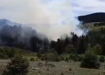 Sinop’ta çıkan orman yangını korkuttu!