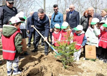 Sinop’ta, fidan dikme etkinliğinde 300 fidan toprakla buluştu!