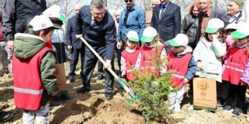 Sinop’ta, fidan dikme etkinliğinde 300 fidan toprakla buluştu!