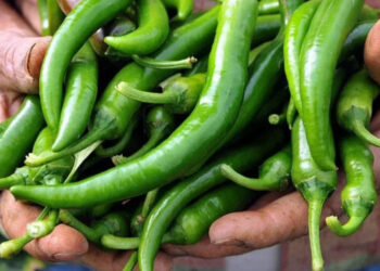 İstanbul’da en fazla fiyat artışı gösteren ürün sivri biber oldu