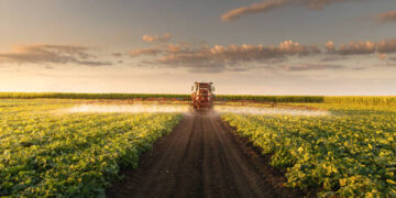 Tarımsal destekleme ödemesi hesaplara aktarıldı