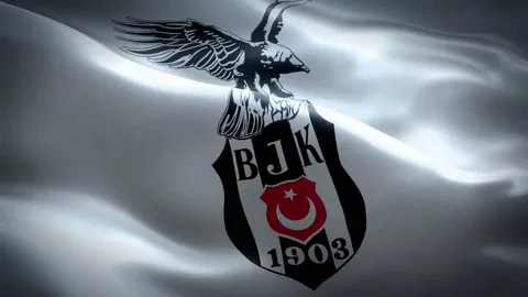 Beşiktaş'ta, sicil kurulu başkanı ve üyeleri istifa etti! besiktas ta sicil kurulu baskani ve uyeleri istifa etti habermeydan