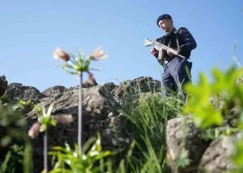 Muş’ta, yılda bir kez açan ters lalelere jandarma koruması!