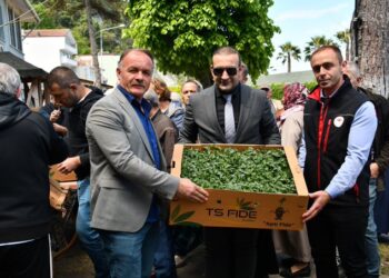 Sinop Ayancık’ta çiftçilere domates ve biber fidesi dağıtıldı!