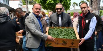 Sinop Ayancık’ta çiftçilere domates ve biber fidesi dağıtıldı!