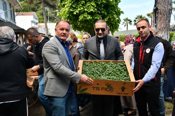 sinop ayancik ta ciftcilere domates ve biber fidesi dagitildi habermeydan