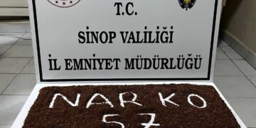 Sinop Boyabat’ta, şüphelilerin üzerinden yarım kilo bonzai çıktı!