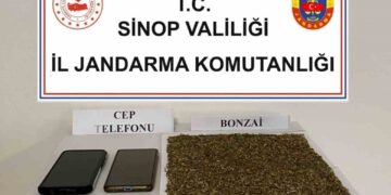 Sinop’ta 2 adrese yapılan baskında 80 gram bonzai ele geçirildi!
