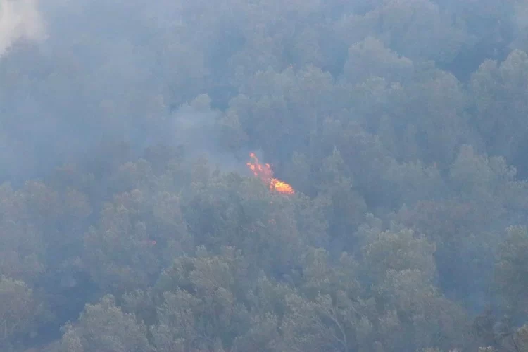 4 ilde orman yanginlari devam ediyor habermeydan