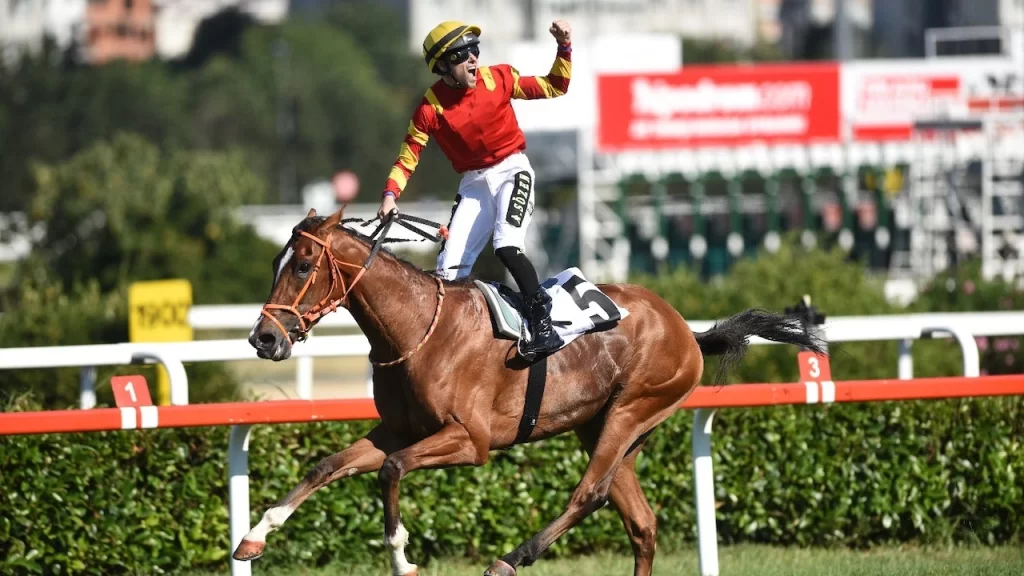 98 gazi kosusu nu dragon flame kazandi habermeydan