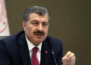 Bakan Koca’dan sokak hayvanları açıklaması