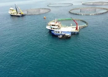 Bakanlıktan su ürünleri denetimi