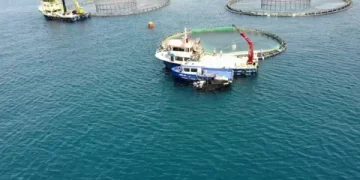 Bakanlıktan su ürünleri denetimi