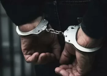 DEAŞ terör örgütüne yönelik operasyonlarda 31 şüpheli yakalandı