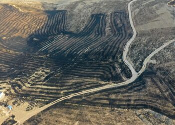 Diyarbakır ve Mardin arasında anız yangını! Hayatını kaybedenler var