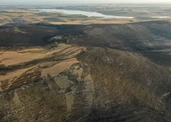 DEDAŞ 700 milyon lira tazminat ödeyecek