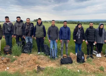 Edirne’de 1 ayda 870 kaçak göçmen yakalandı