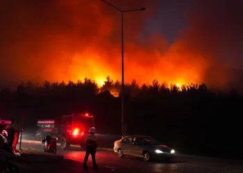 Kuşadası’ndaki orman yangını büyüdü! Ekiplerin müdahalesi sürüyor