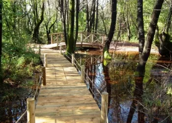 Bakan Yumaklı: 5,3 milyondan fazla kişi Milli Parklarımızı ziyaret etti