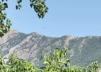 Şırnak’ta 4 terörist etkisiz hale getirildi