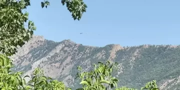 Şırnak’ta 4 terörist etkisiz hale getirildi