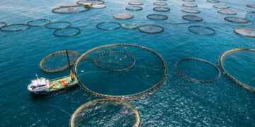 Su ürünleri üretimi yüzde 18,6 arttı