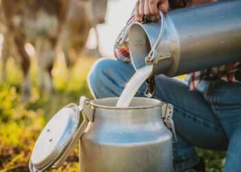 Tavuk eti ve süt üretimi Nisan ayında azaldı