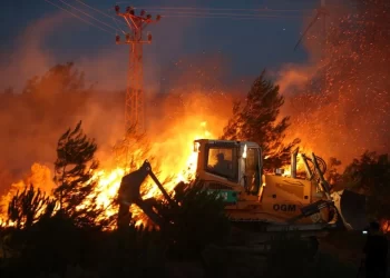 Bakan Yumaklı: Yangınlar kontrol altına alındı
