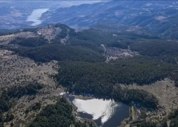 Ankara’daki ormanlık alanlara girişler yasaklandı