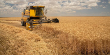 TZOB Başkanı Bayraktar, buğday alım fiyatının güncellenmesi talebinde bulundu