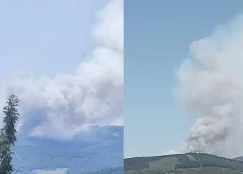 Bursa’da orman yangını! Havadan ve karadan müdahale sürüyor