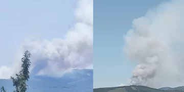 Bursa’da orman yangını! Havadan ve karadan müdahale sürüyor