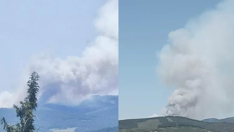 bursa orman yangini habermeydan