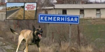Valilikten açıkladı: Niğde’de kuduz karantinası!