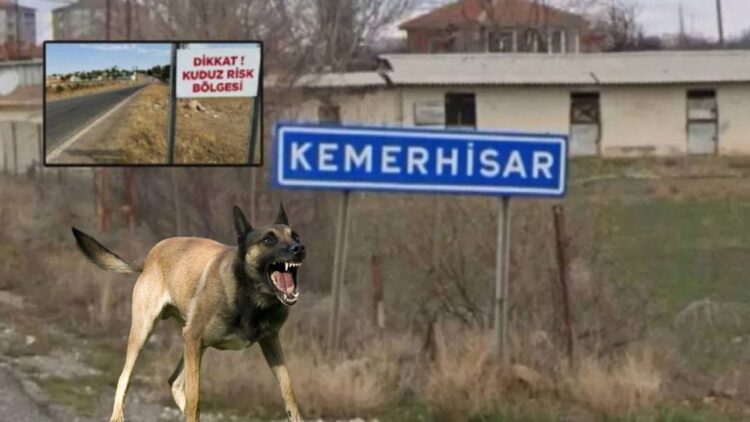 kuduz karantinasi habermeydan