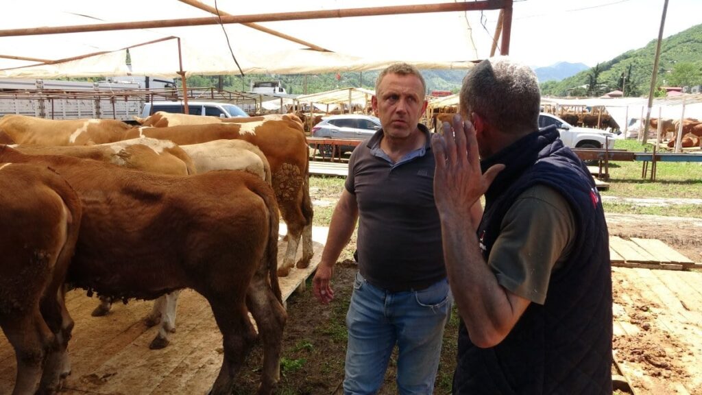 kurban pazari habermeydan